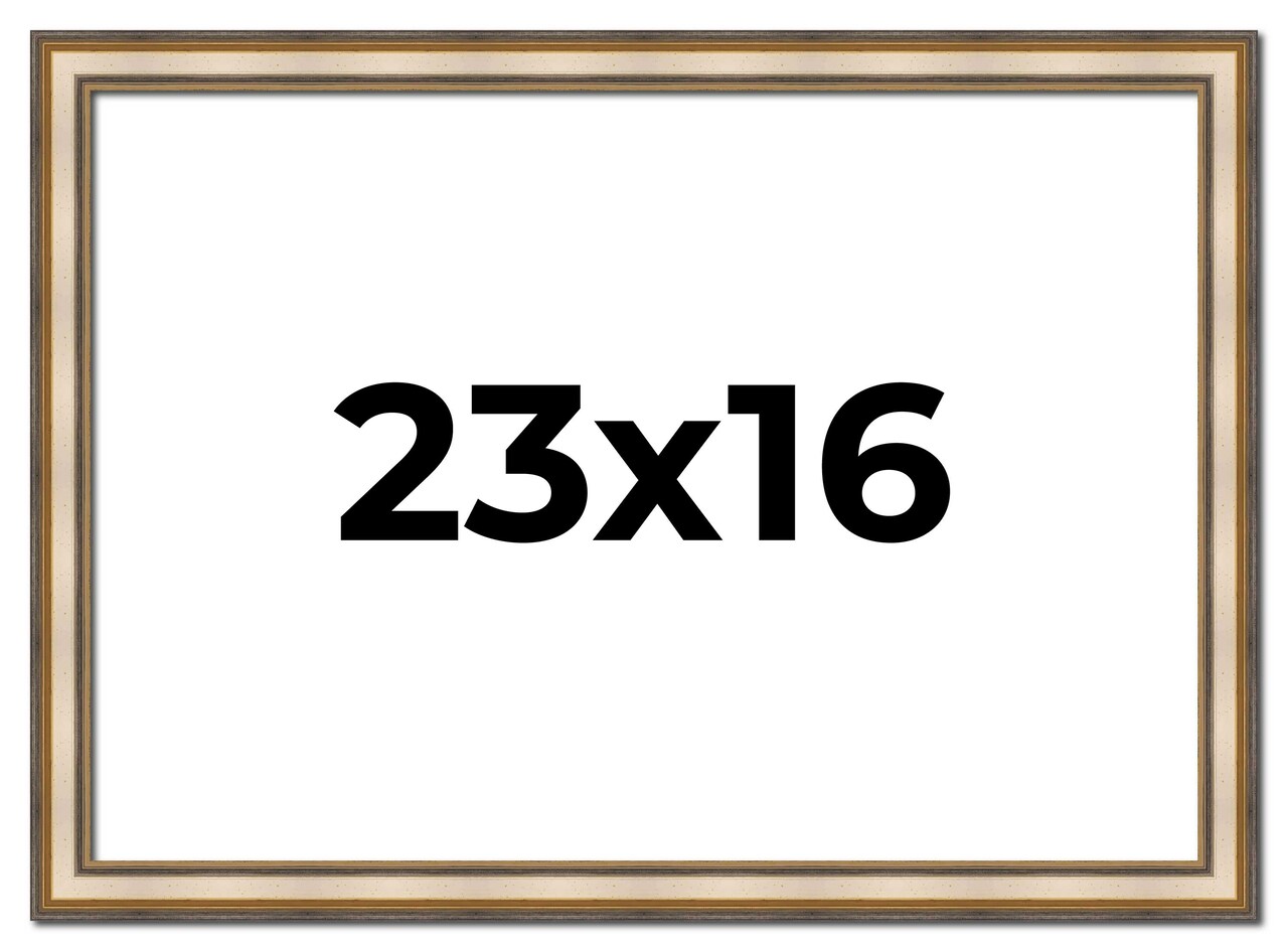 16x23 Refined Picture Frame with UV-Resistant Acrylic & Acid Free Backing, Available in 5 Finishes - Black, Blue, Gold, Silver, and White